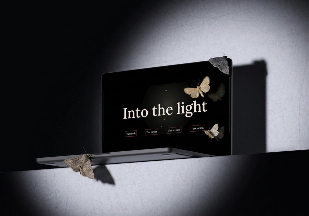 Into the Light